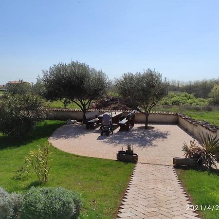 Villa Parenzo 포레치 외부 사진